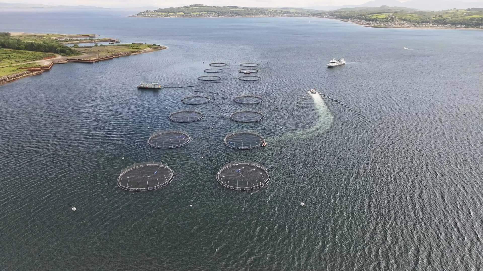 Aerial view of an open-net salmon farm in Scottish coastal water