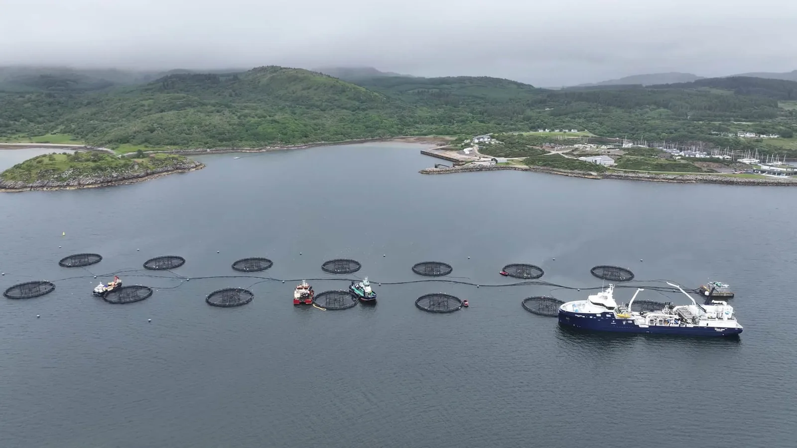 Open-net salmon farm cages at Glenan Bay on the Scottish coast