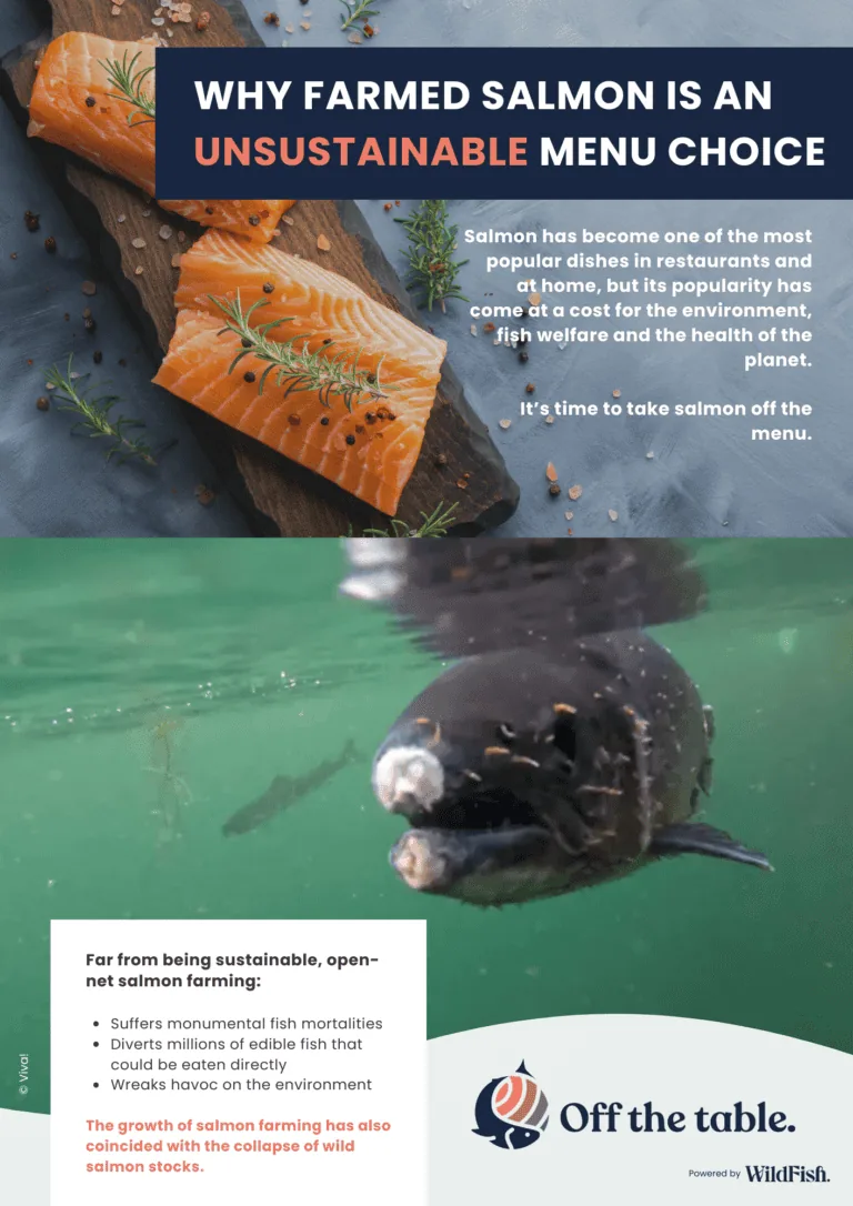 Off The Table campaign leaflet explaining the case against farmed salmon