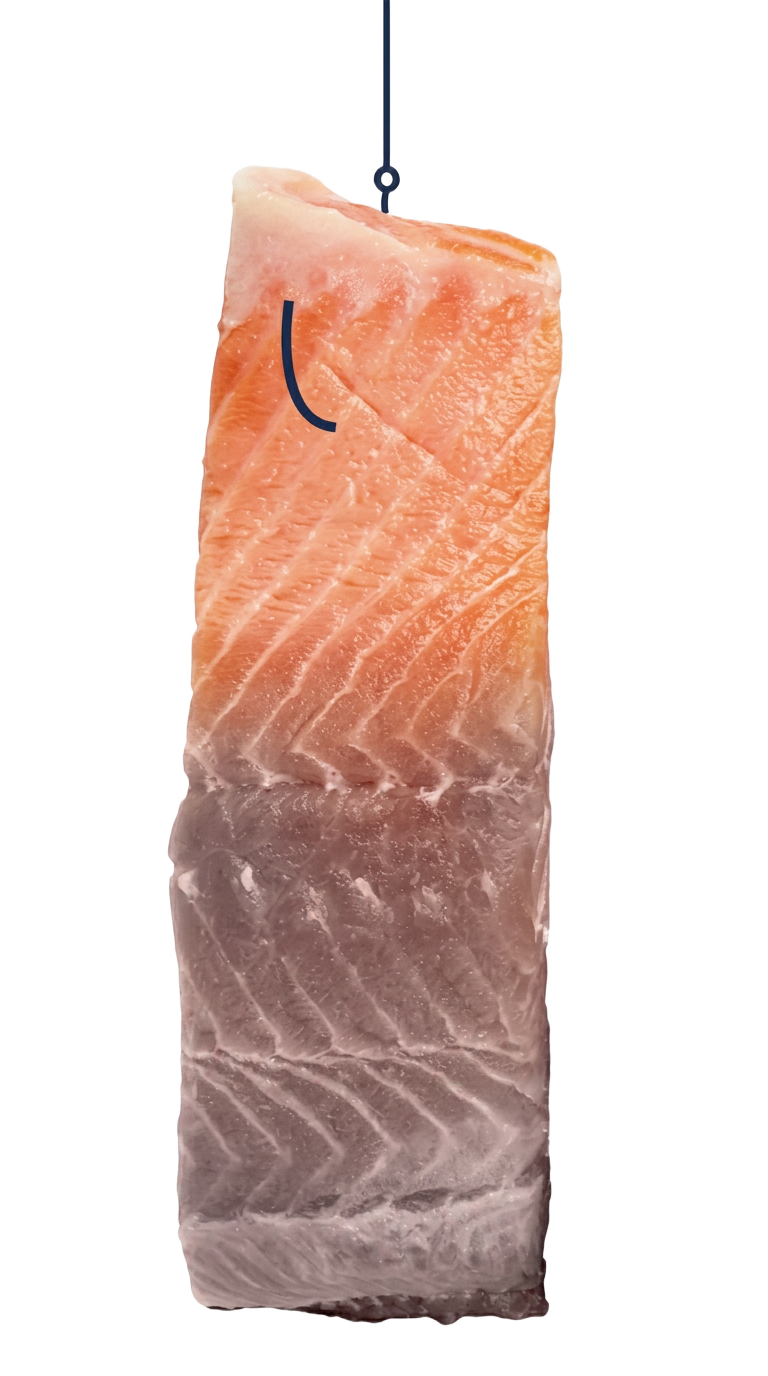 Farmed salmon hanging from a hook, from the Off The Table campaign
